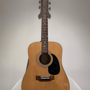 Squier SA-100 (Used)