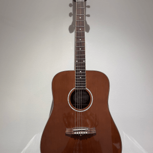 Tanglewood Evolution (Used)